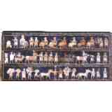 Click para ampliar. Pulsa en el nombre para ver la ficha. Oanes 1